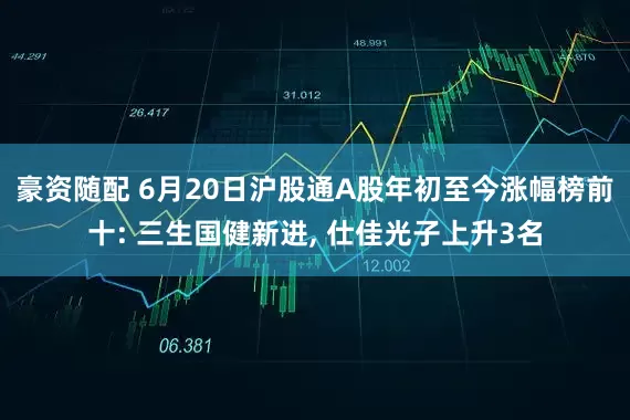 豪资随配 6月20日沪股通A股年初至今涨幅榜前十: 三生国健新进, 仕佳光子上升3名