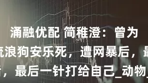 涌融优配 简稚澄：曾为700多条流浪狗安乐死，遭网暴后，最后一针打给自己_动物_园区_工作