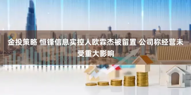 金投策略 恒锋信息实控人欧霖杰被留置 公司称经营未受重大影响